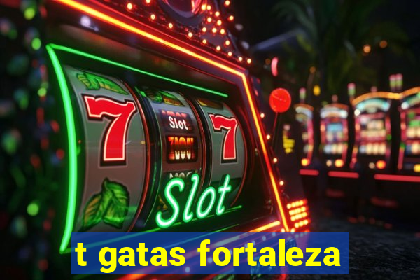 t gatas fortaleza